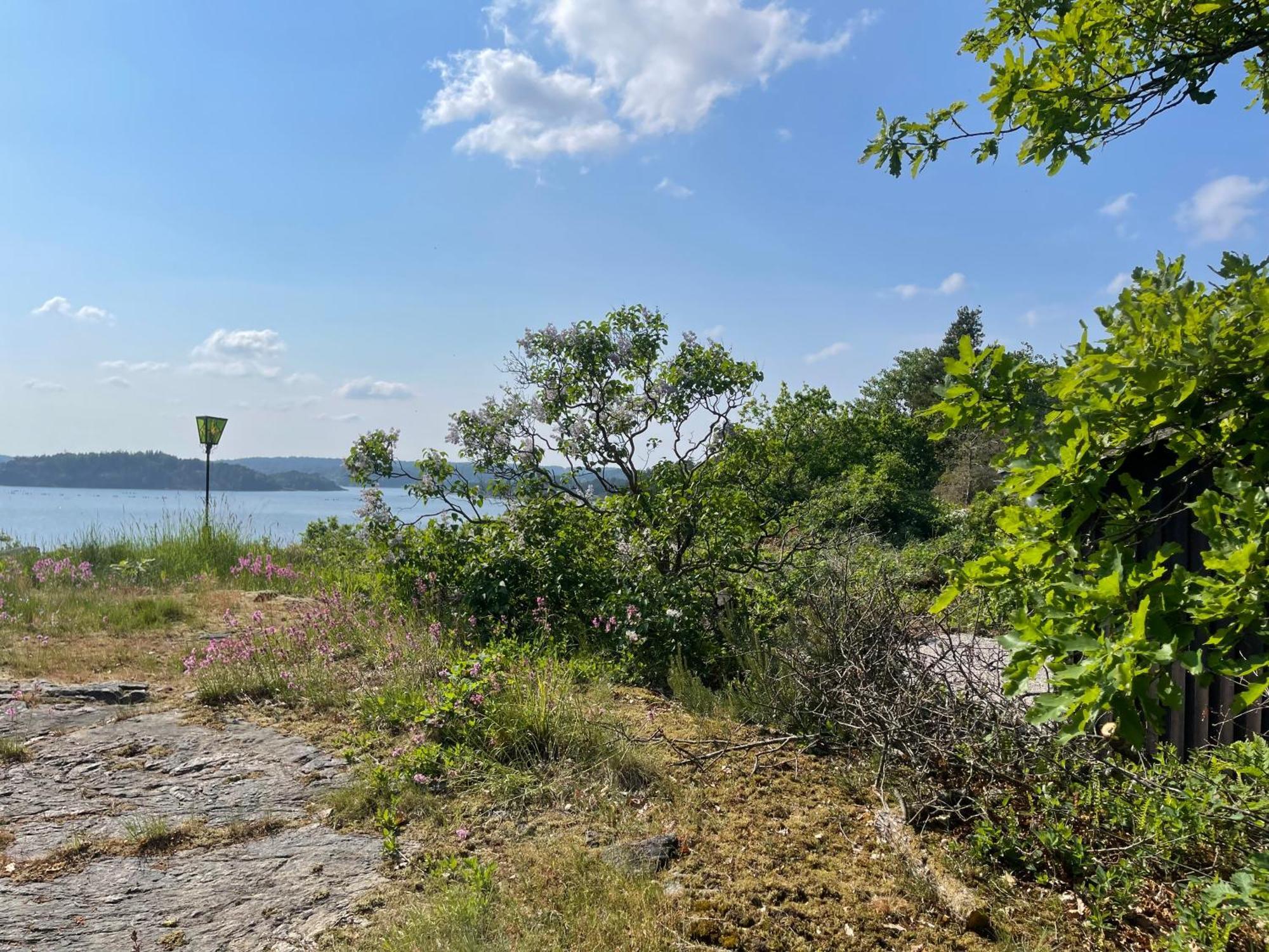 Seaside Dream With Jetty & Guest Cottage Ljungskile Buitenkant foto